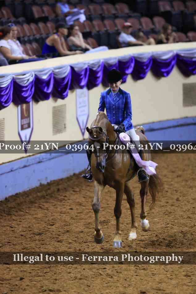 Proof 21YN_03964
