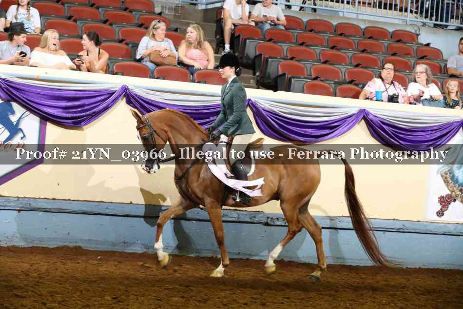 Proof 21YN_03966