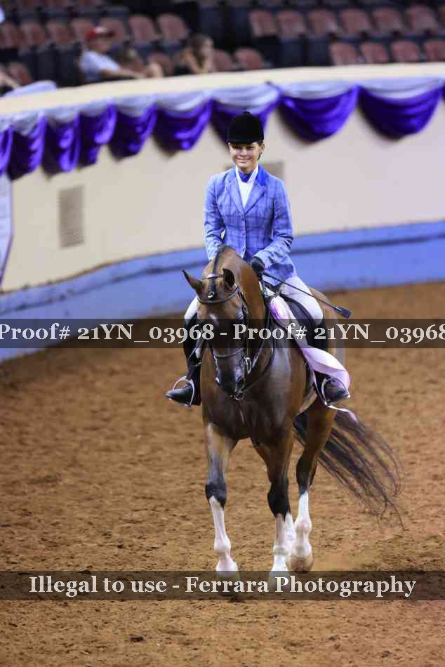 Proof 21YN_03968