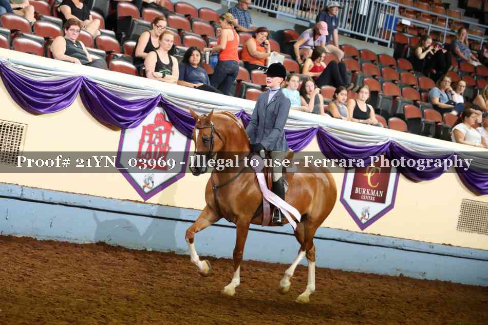Proof 21YN_03969