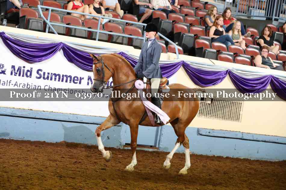 Proof 21YN_03970