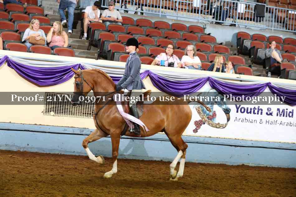 Proof 21YN_03971
