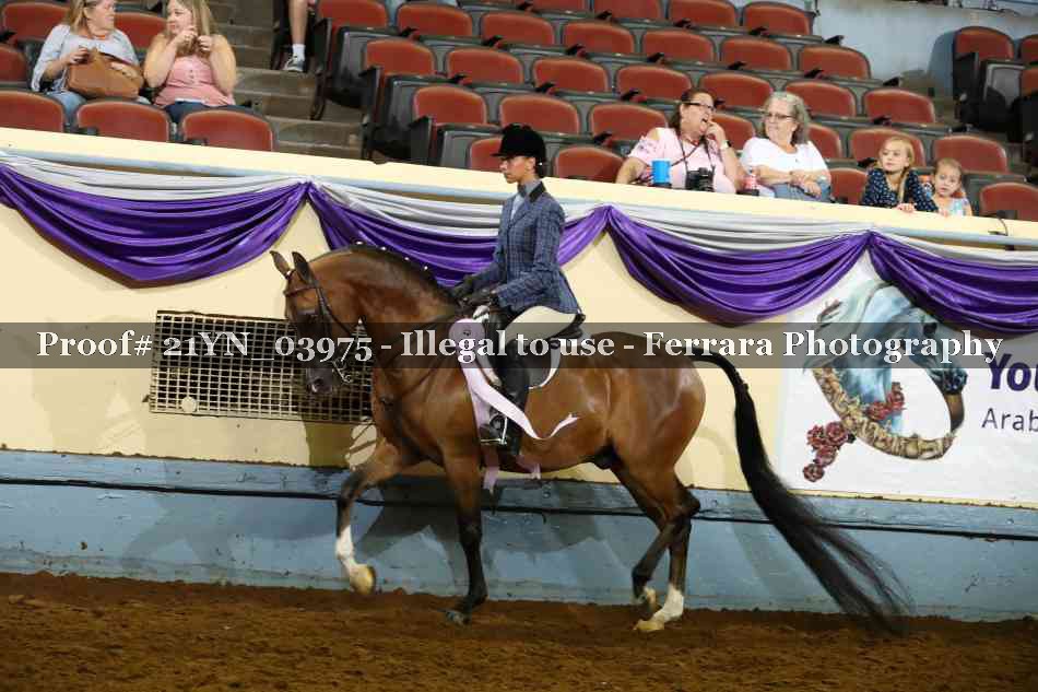 Proof 21YN_03975