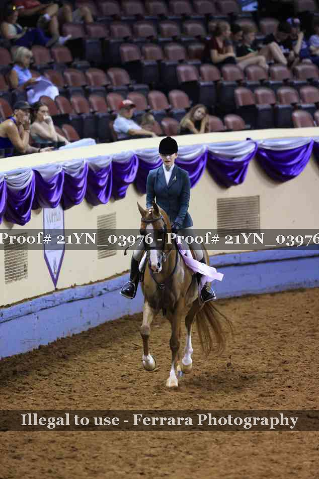 Proof 21YN_03976