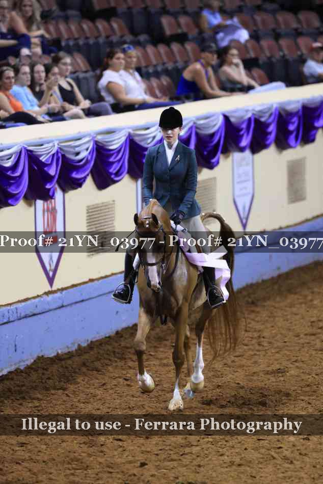 Proof 21YN_03977