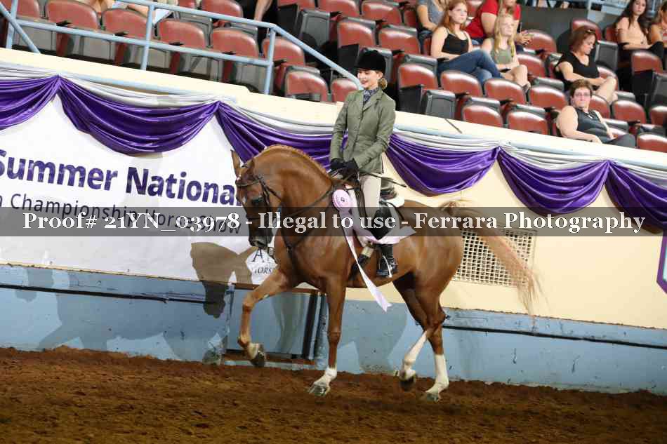 Proof 21YN_03978