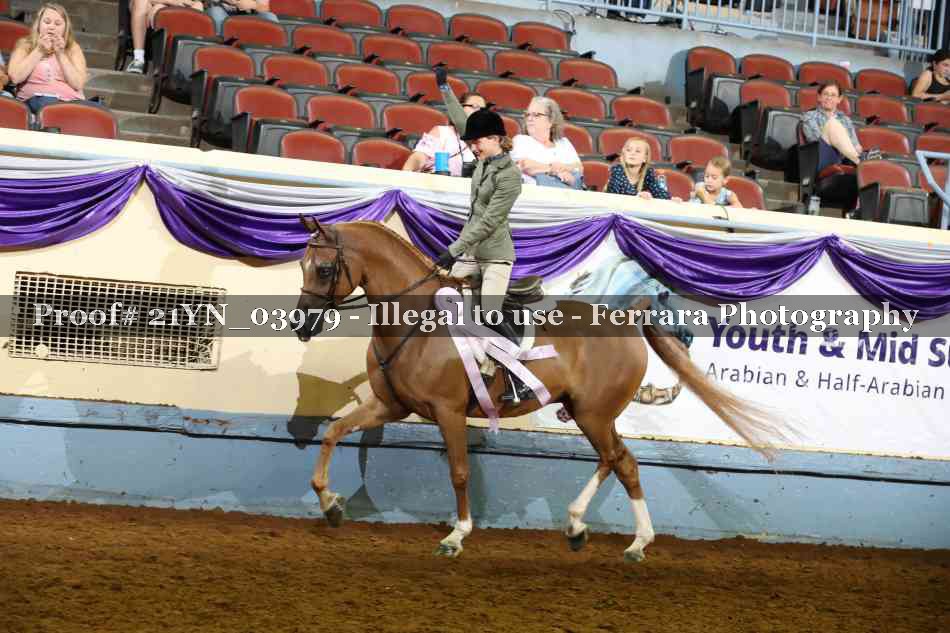 Proof 21YN_03979