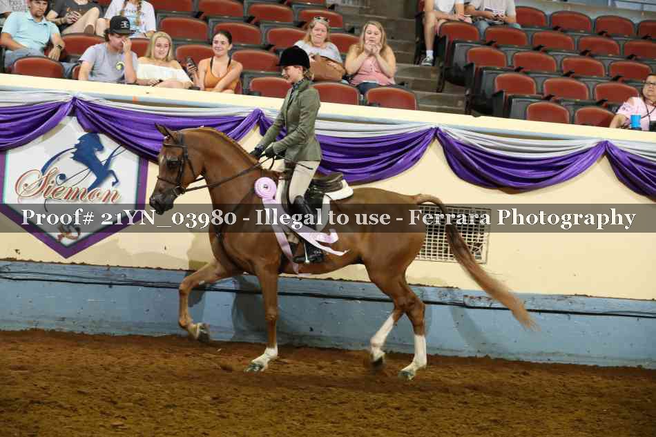 Proof 21YN_03980