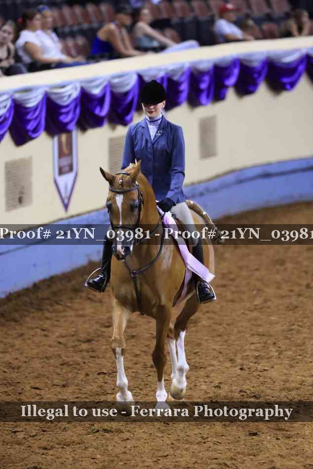 Proof 21YN_03981