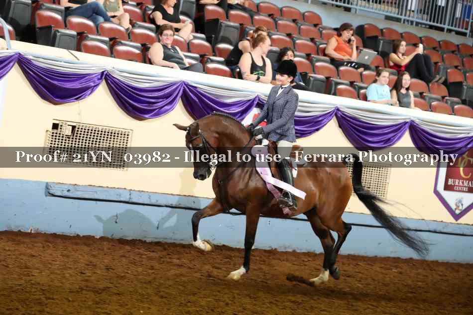 Proof 21YN_03982