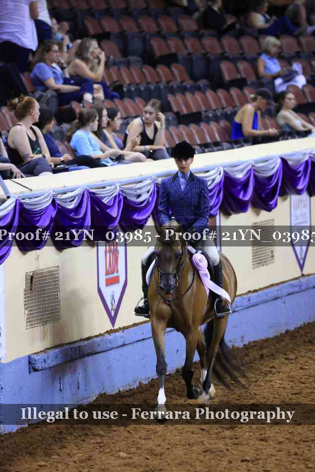 Proof 21YN_03985