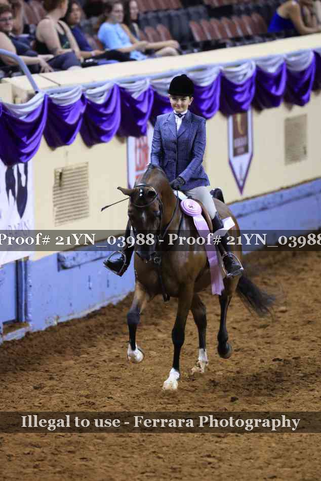 Proof 21YN_03988