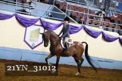 21YN_31012 proof