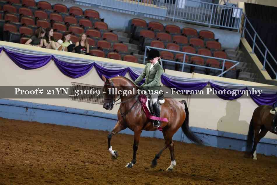 Proof 21YN_31069