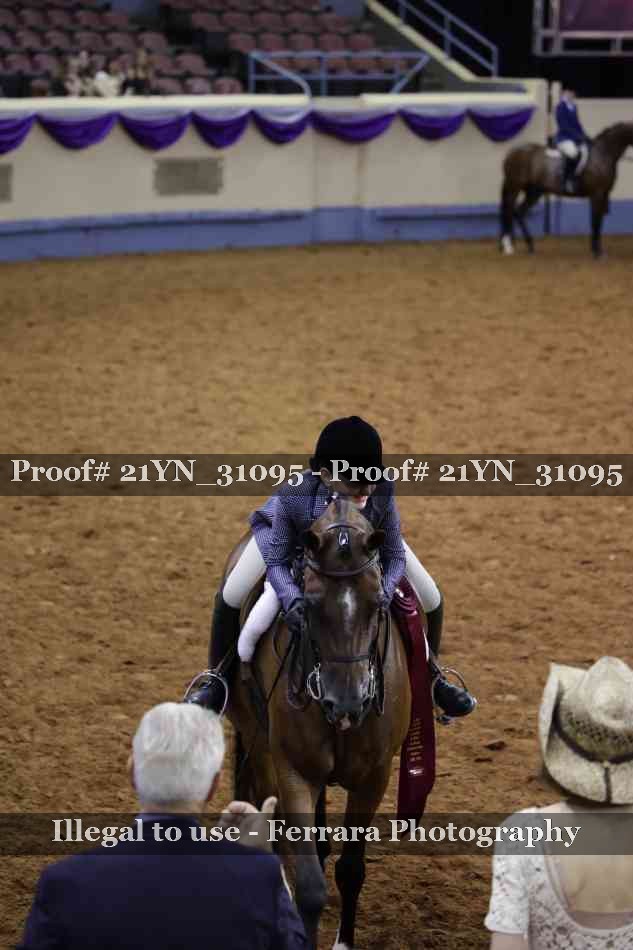 Proof 21YN_31095