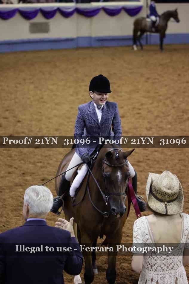 Proof 21YN_31096