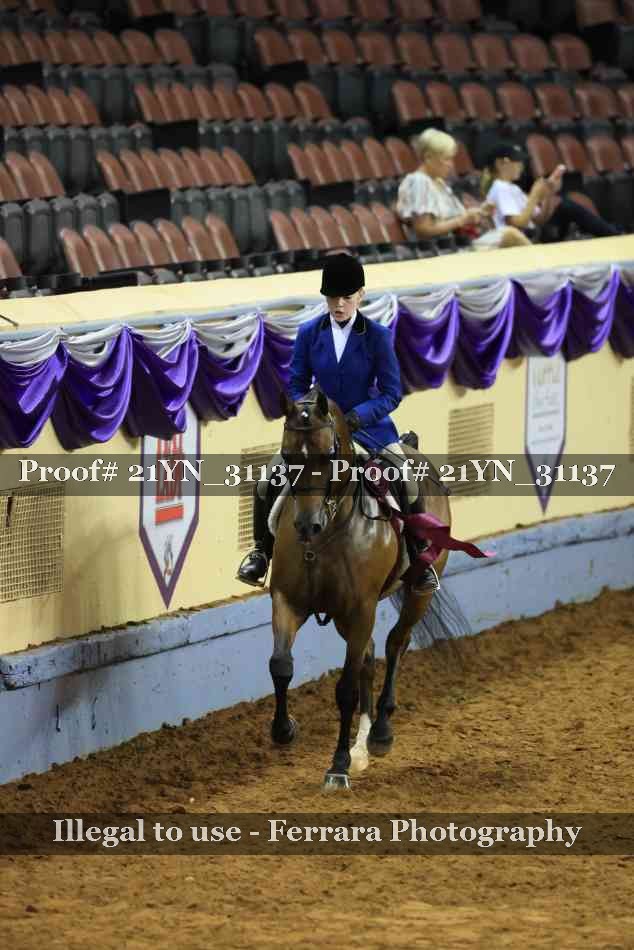 Proof 21YN_31137