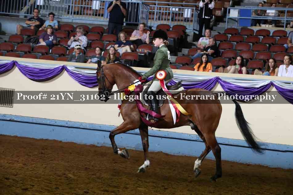 Proof 21YN_31162