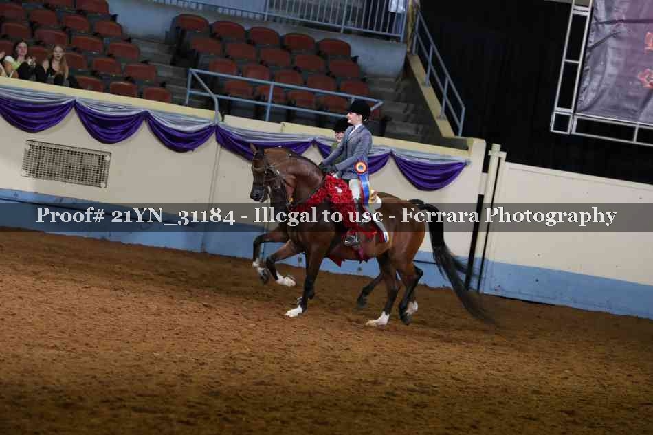 Proof 21YN_31184