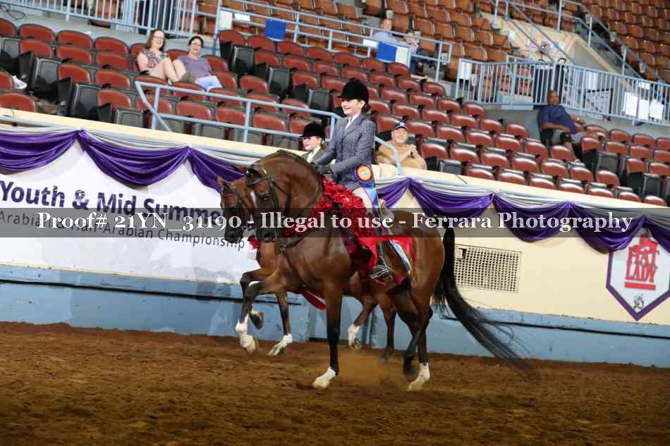 Proof 21YN_31190