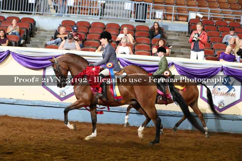 Proof 21YN_31192