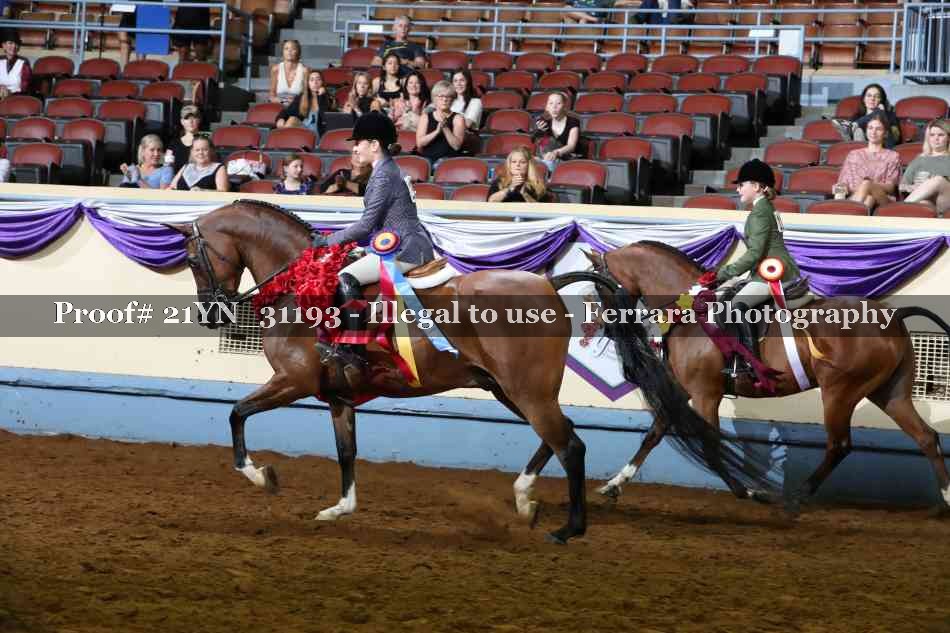 Proof 21YN_31193