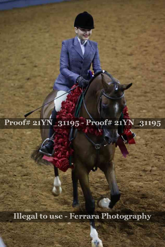 Proof 21YN_31195