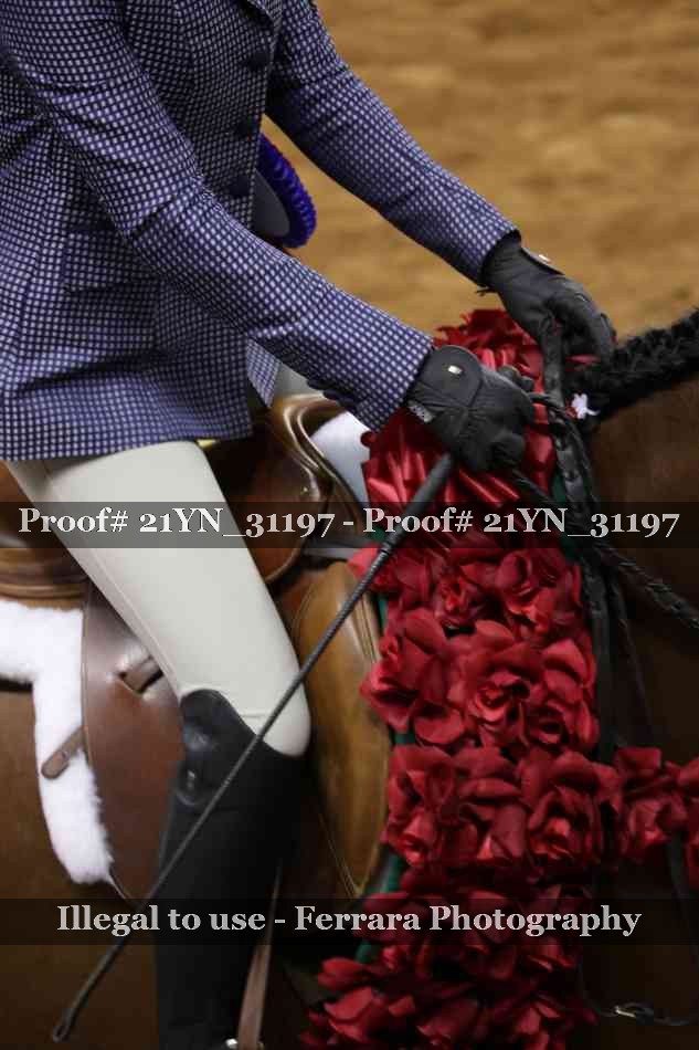 Proof 21YN_31197