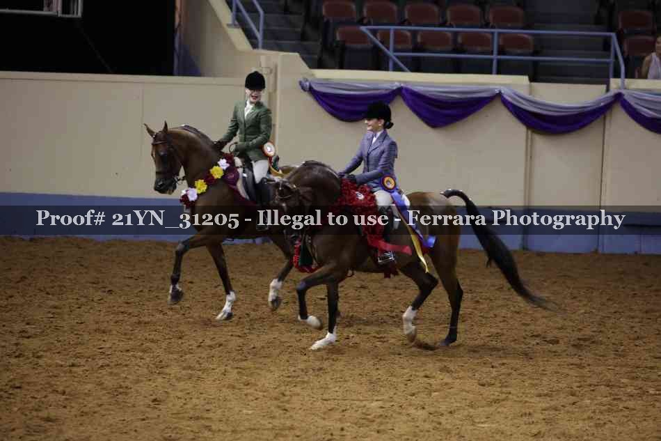 Proof 21YN_31205