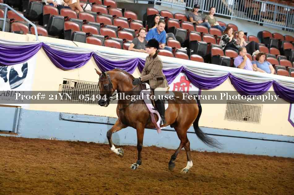 Proof 21YN_05494
