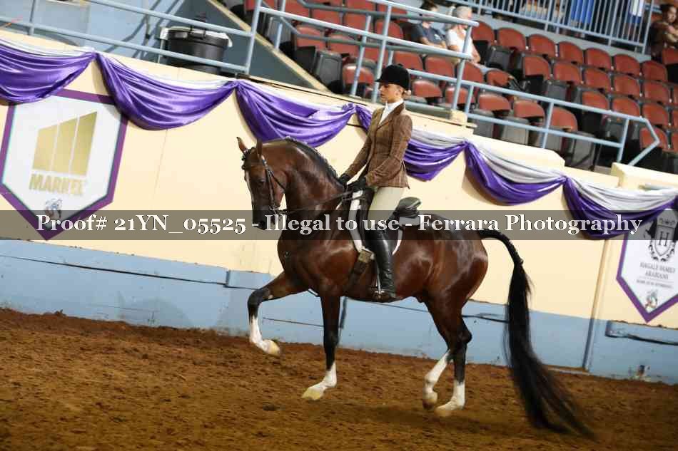 Proof 21YN_05525