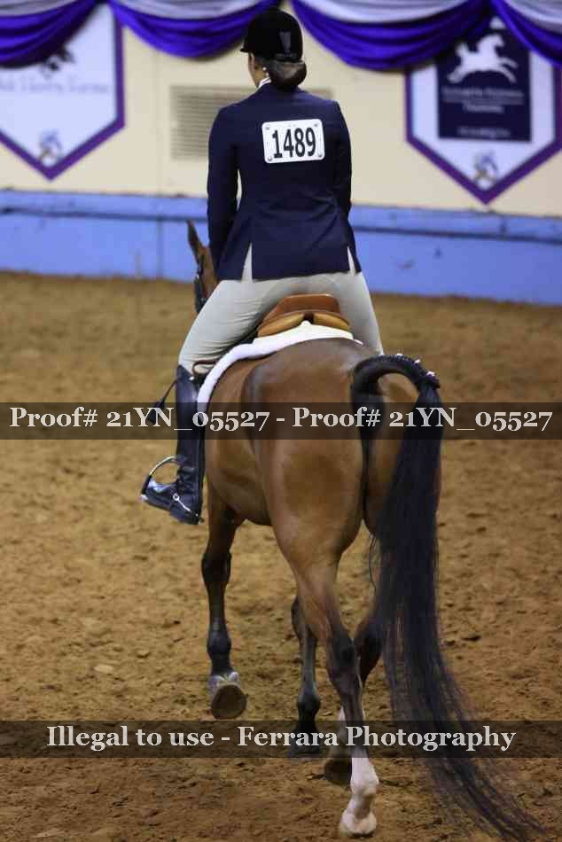 Proof 21YN_05527