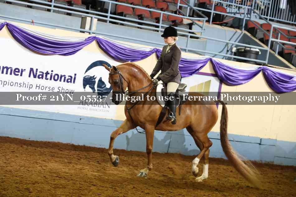 Proof 21YN_05537