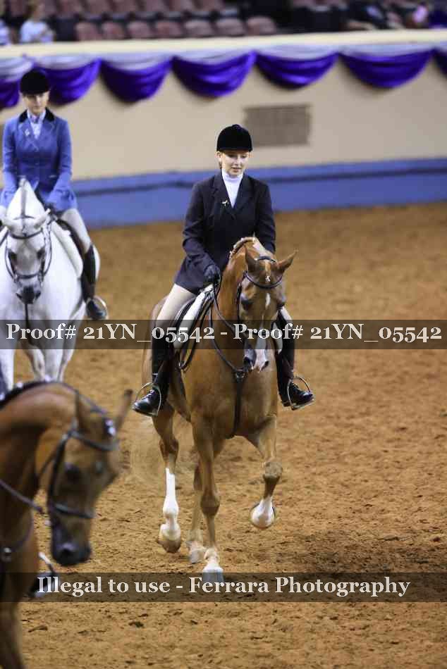 Proof 21YN_05542