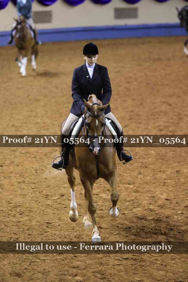 Proof 21YN_05564