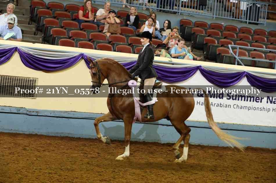 Proof 21YN_05578