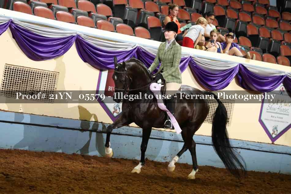 Proof 21YN_05579