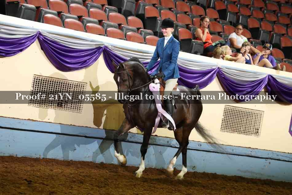 Proof 21YN_05585