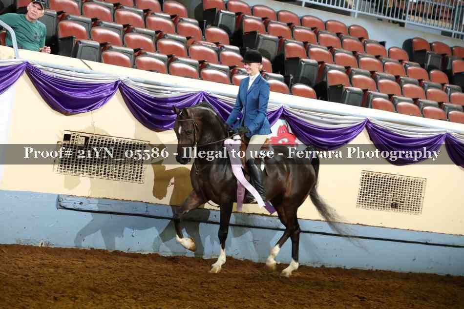 Proof 21YN_05586
