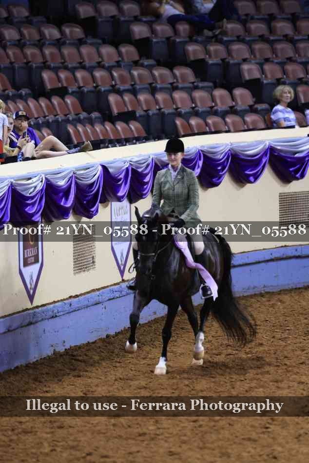 Proof 21YN_05588