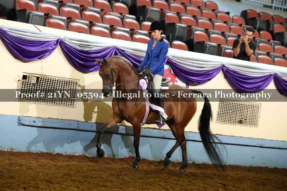 Proof 21YN_05594