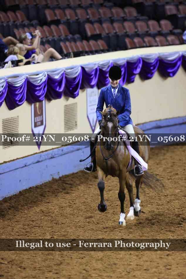Proof 21YN_05608