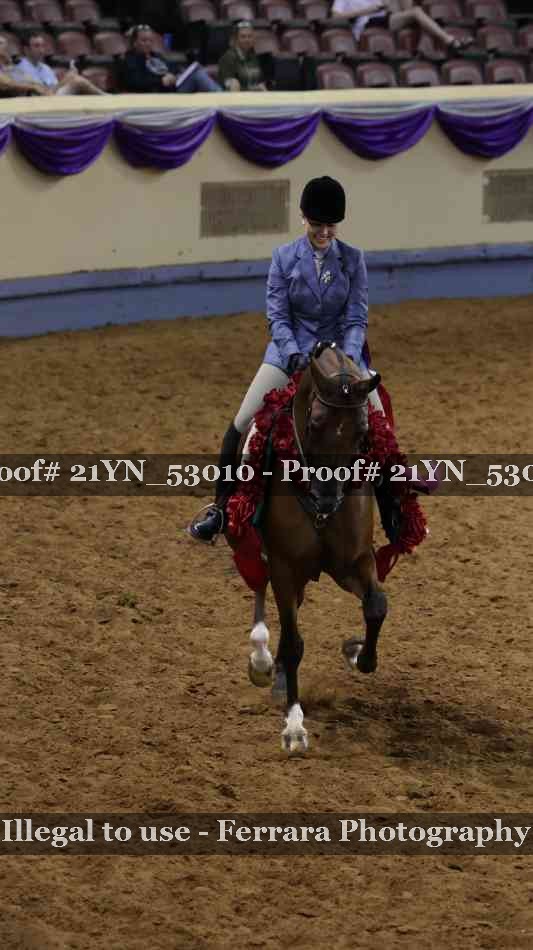 Proof 21YN_53010