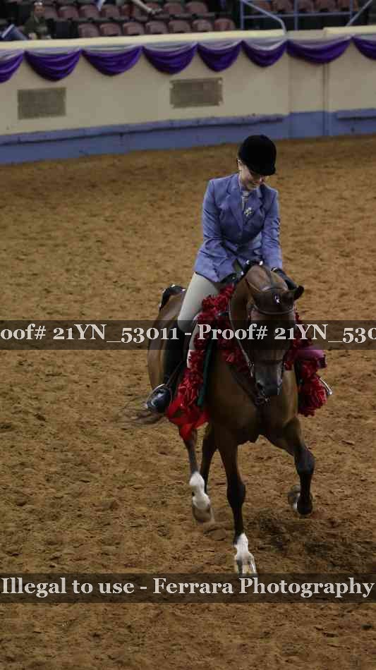 Proof 21YN_53011