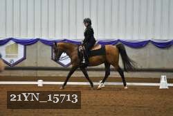 21YN_15713 proof