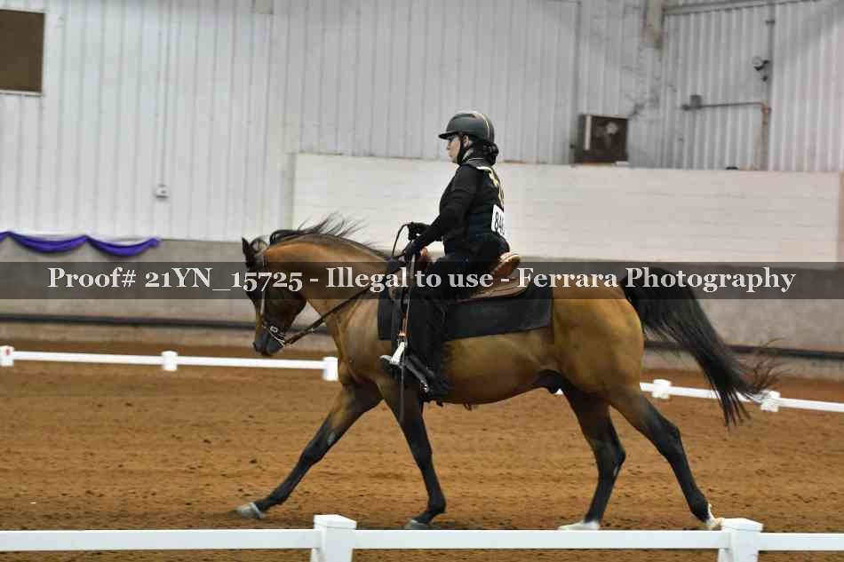 Proof 21YN_15725