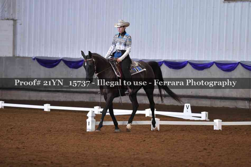 Proof 21YN_15737