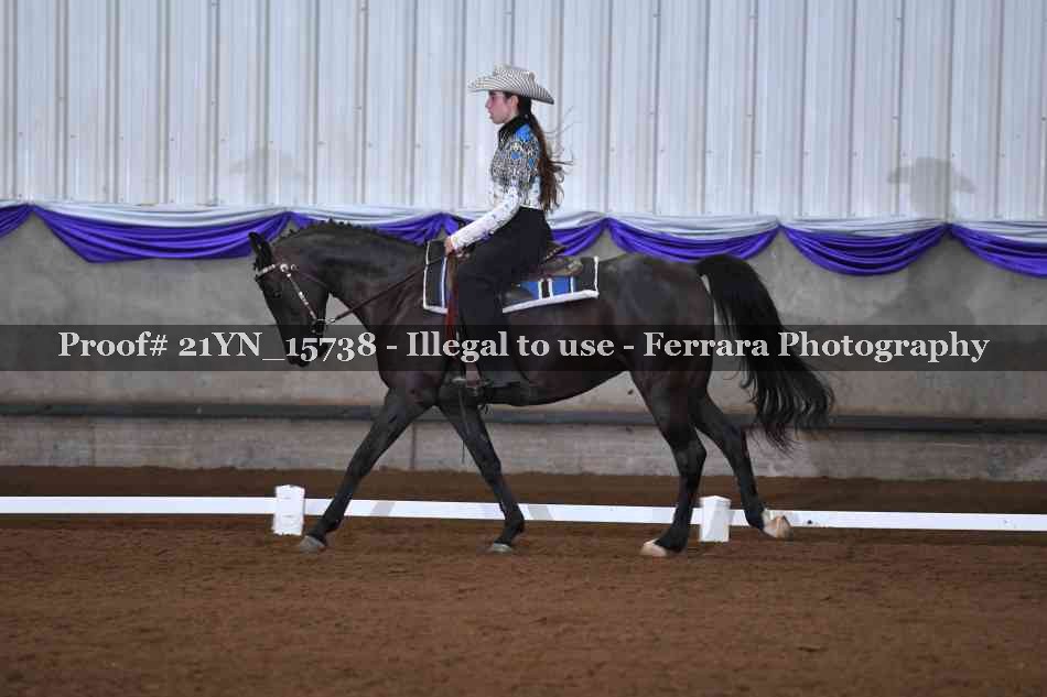 Proof 21YN_15738