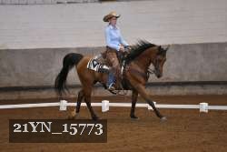 21YN_15773 proof