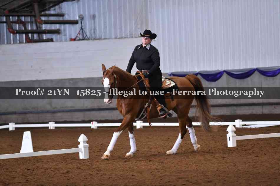 Proof 21YN_15825